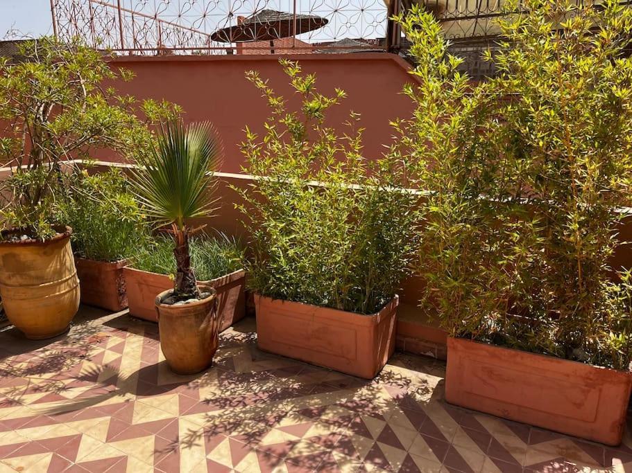 Riad Nadara, Superbe Riad Au Coeur De La Medina! Marrakesh Buitenkant foto